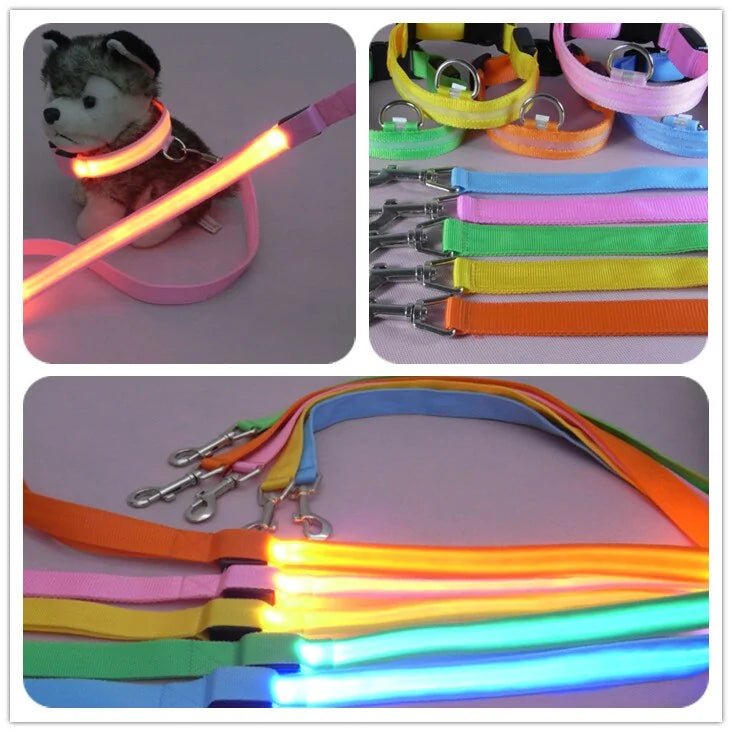 Glow In Dark Dog Leash - Cool Gear Pro