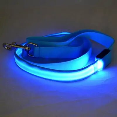 Glow In Dark Dog Leash - Cool Gear Pro