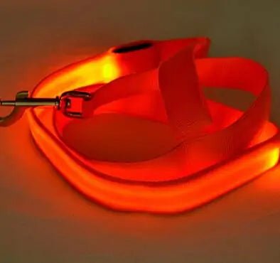 Glow In Dark Dog Leash - Cool Gear Pro