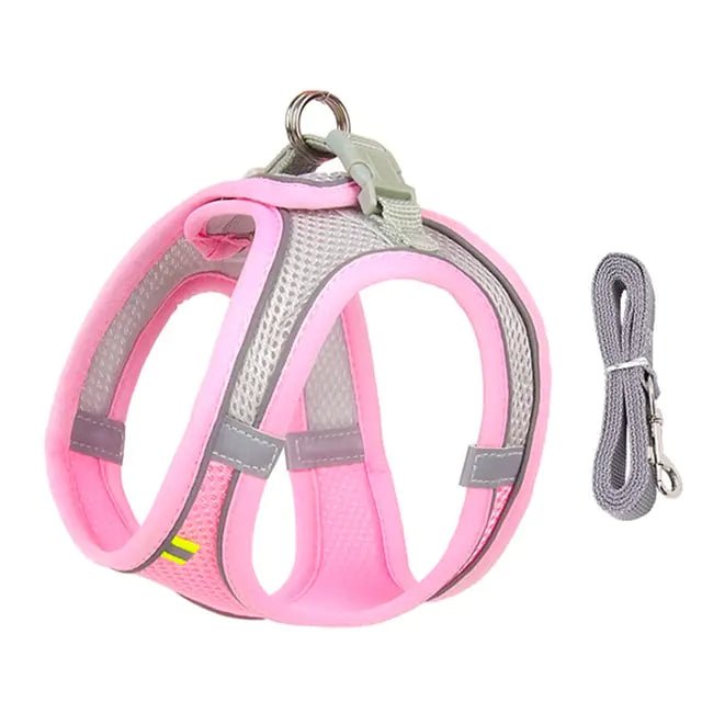 Harness Leash Set for Dogs - Cool Gear Pro