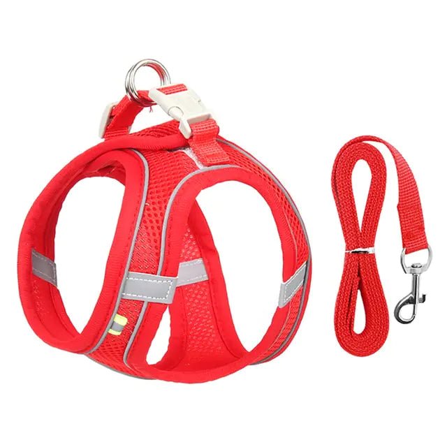 Harness Leash Set for Dogs - Cool Gear Pro