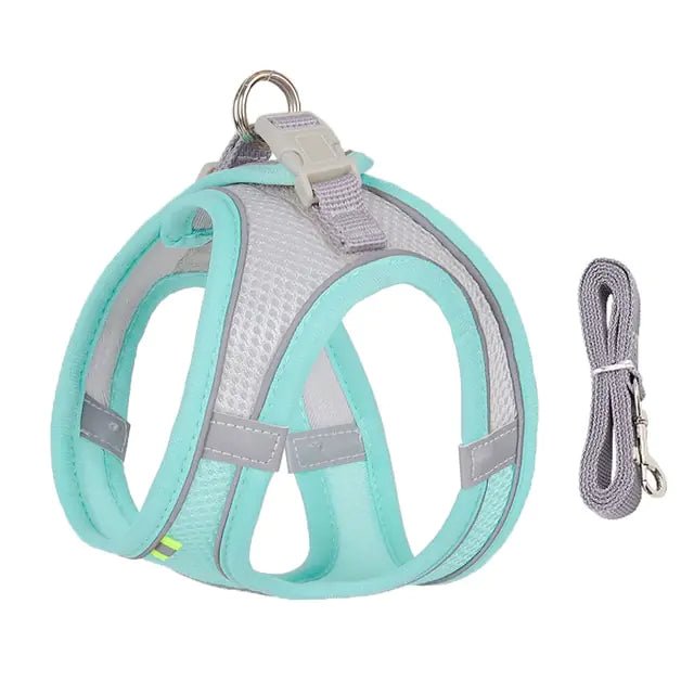 Harness Leash Set for Dogs - Cool Gear Pro