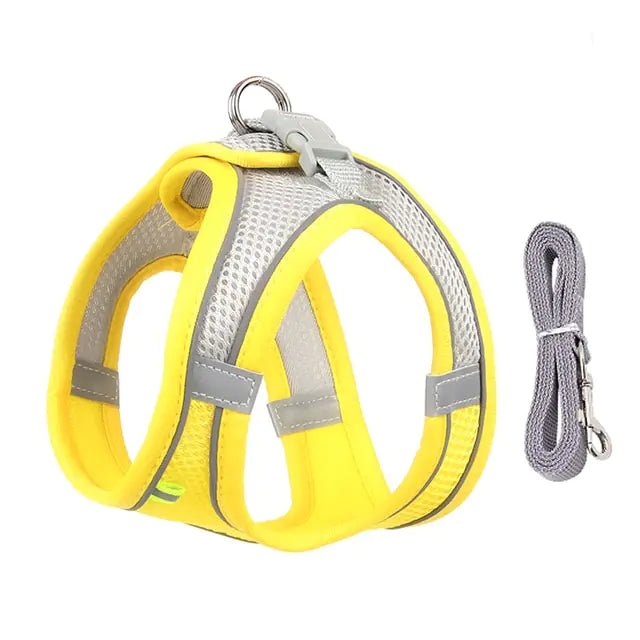 Harness Leash Set for Dogs - Cool Gear Pro