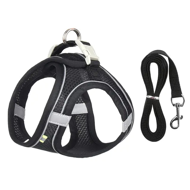 Harness Leash Set for Dogs - Cool Gear Pro