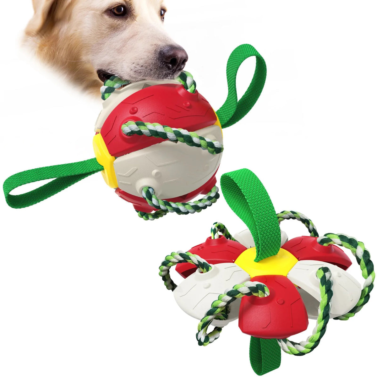 Interactive Collapsing Dog Toy - Cool Gear Pro