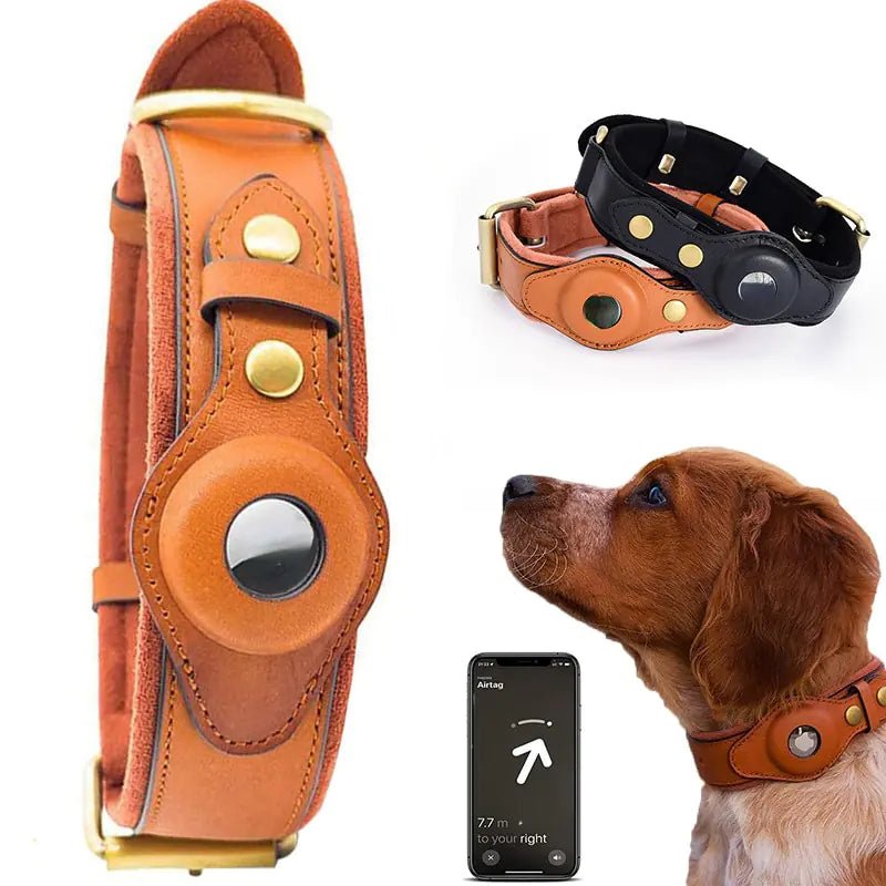 Leather Anti-Lost Dog Collar - Cool Gear Pro