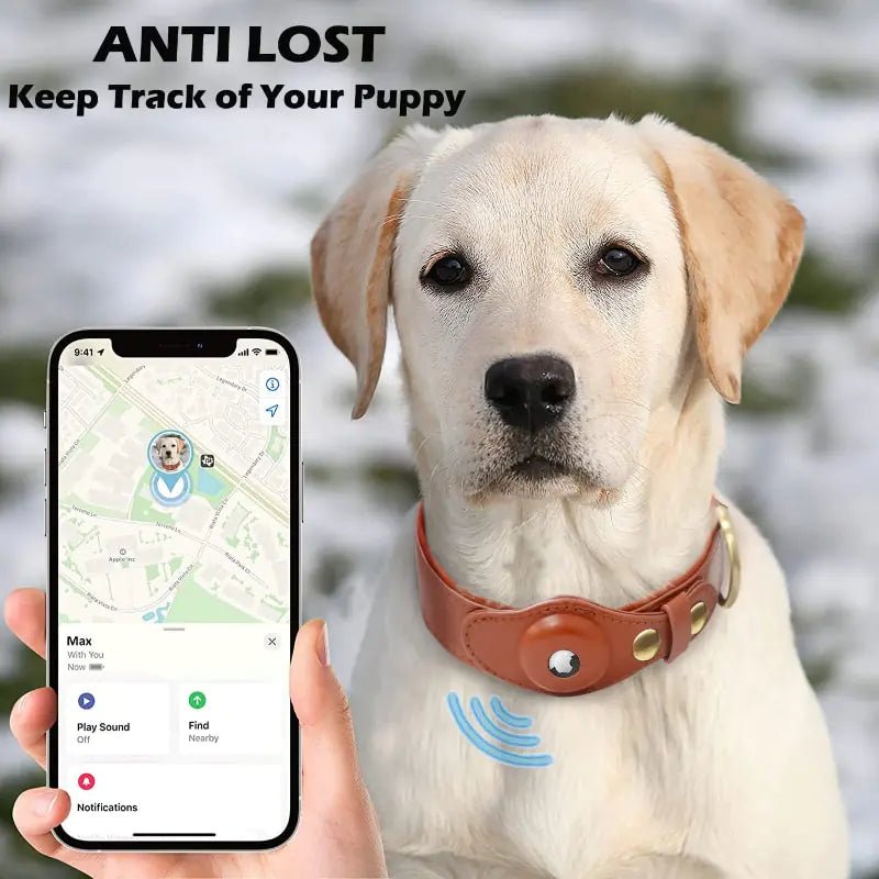 Leather Anti-Lost Dog Collar - Cool Gear Pro