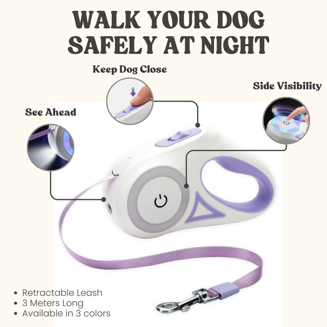 Led Lights Dog Leash - Cool Gear Pro