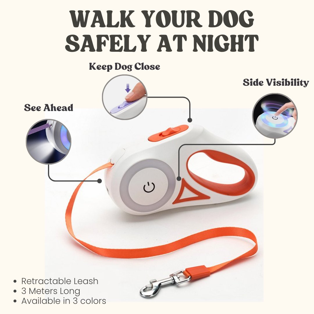 Led Lights Dog Leash - Cool Gear Pro