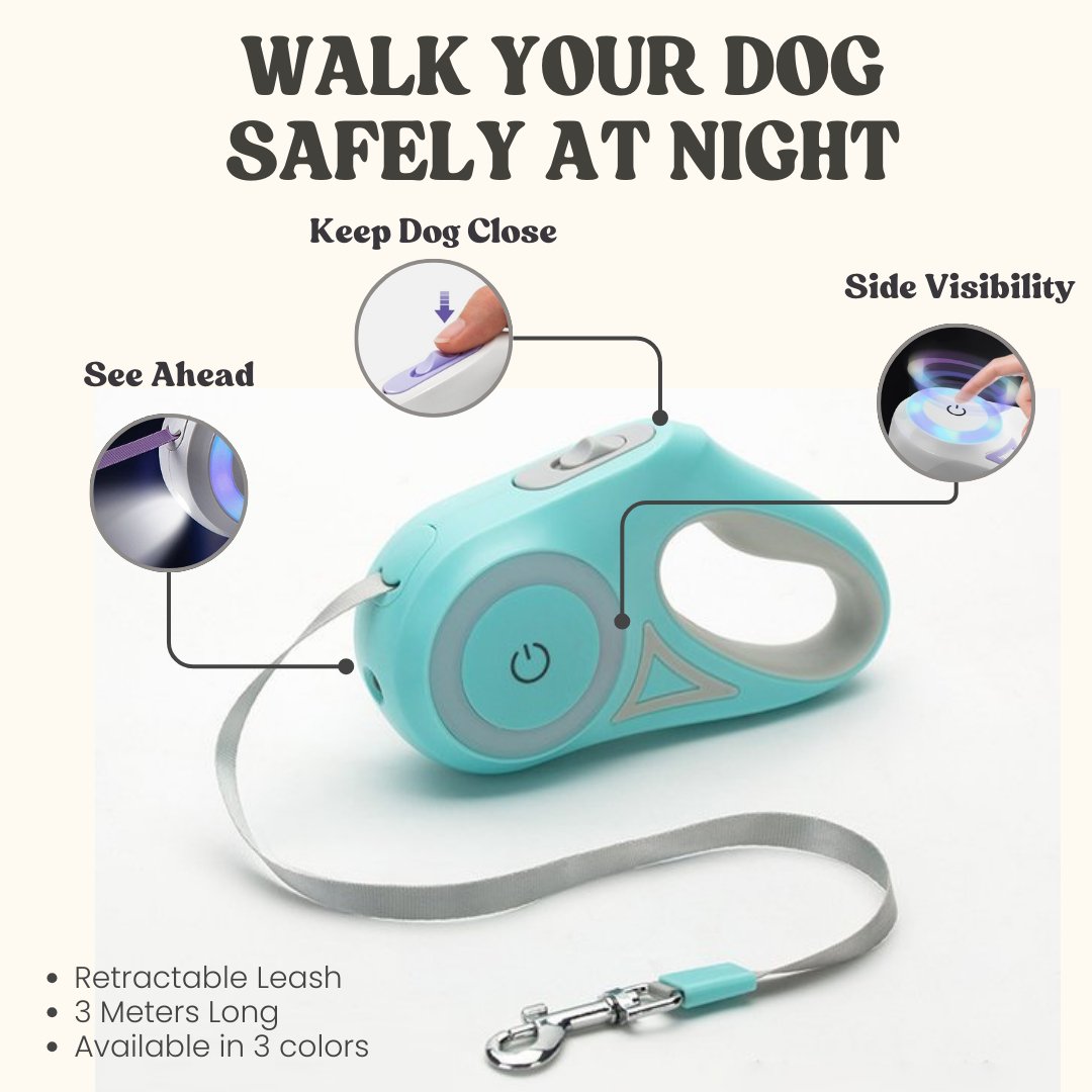 Led Lights Dog Leash - Cool Gear Pro