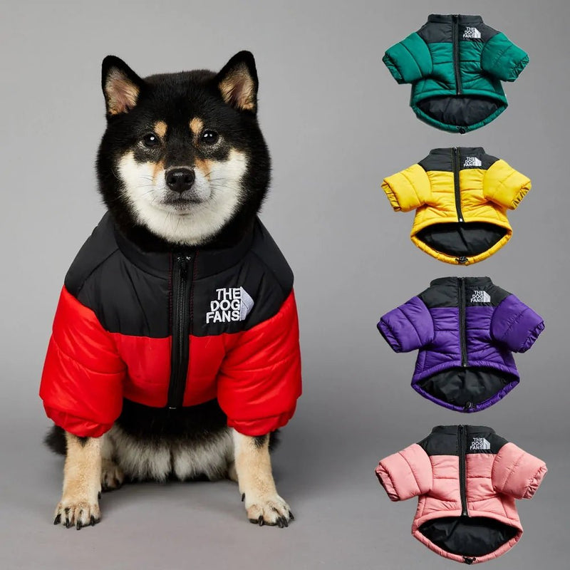 Luxury Winter Dog Fans Coat - Cool Gear Pro