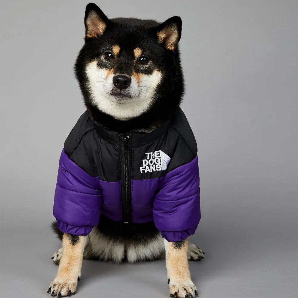 Luxury Winter Dog Fans Coat - Cool Gear Pro