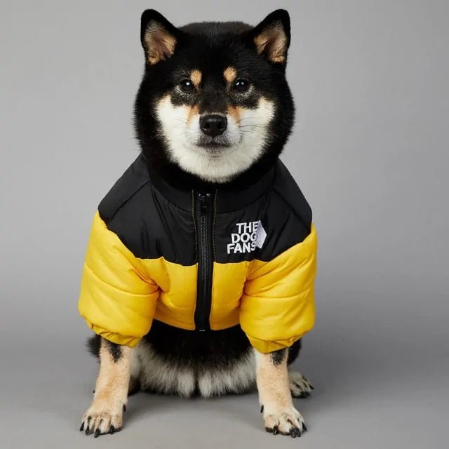 Luxury Winter Dog Fans Coat - Cool Gear Pro