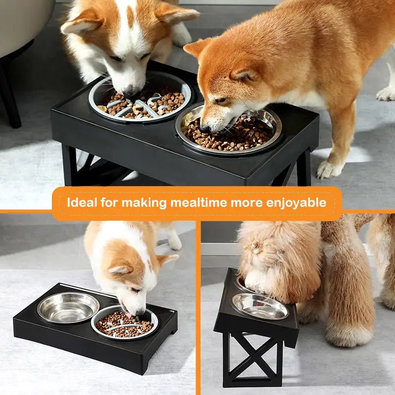 Mess - Free Dog Bowl - Cool Gear Pro