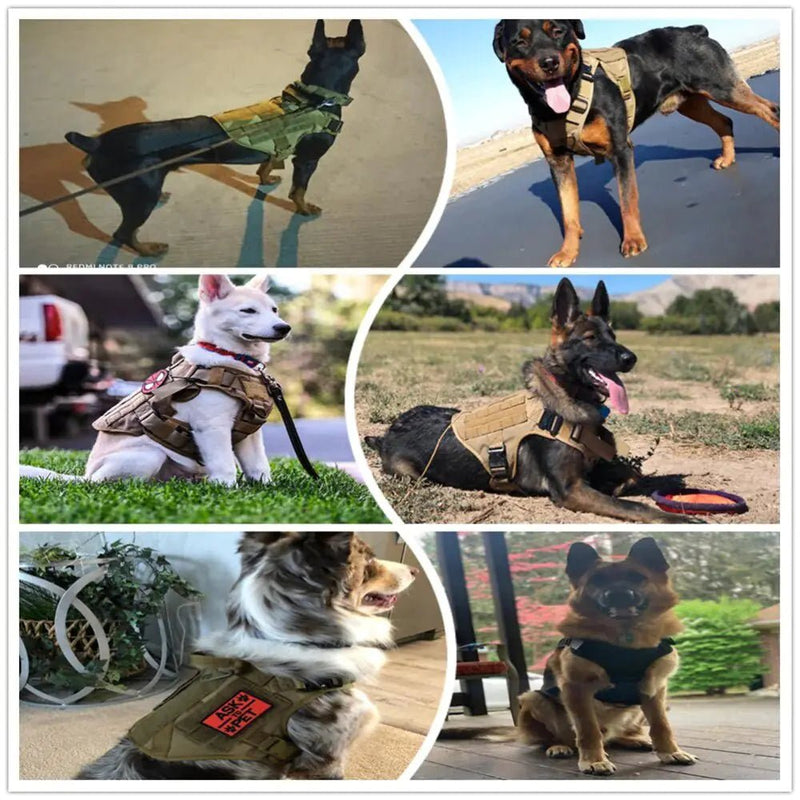 Metal Buckle Tactical Dog Harness - Cool Gear Pro