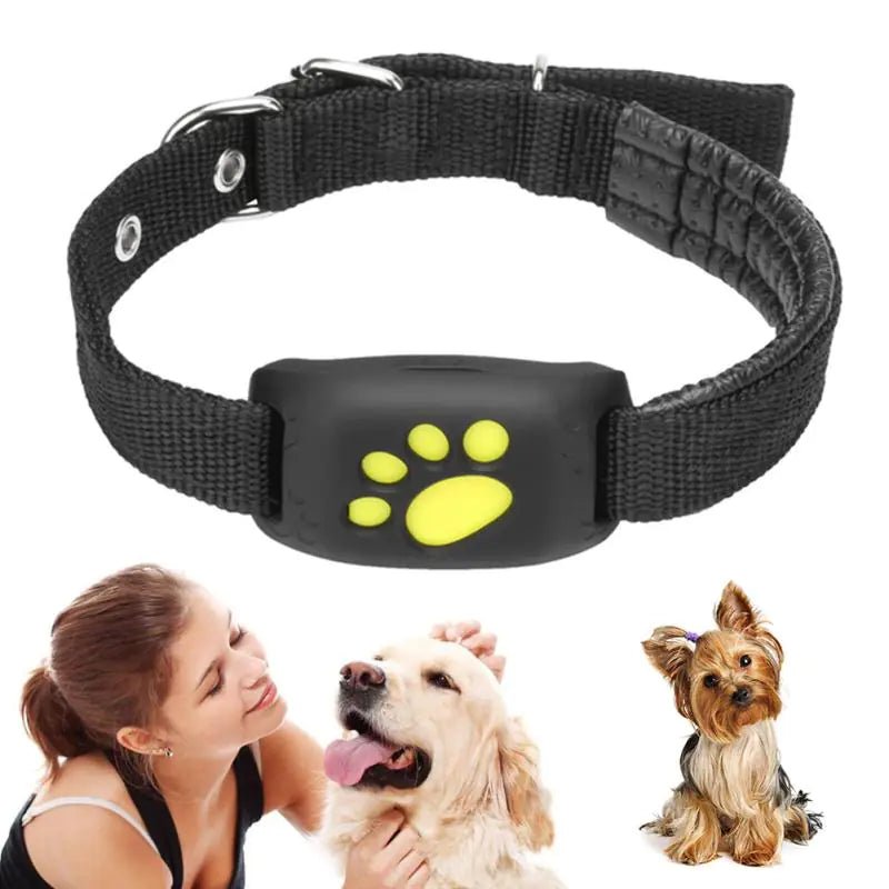 Pet GPS Tracker Collar - Cool Gear Pro