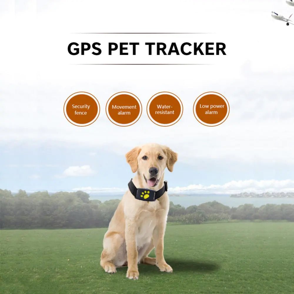 Pet GPS Tracker Collar - Cool Gear Pro