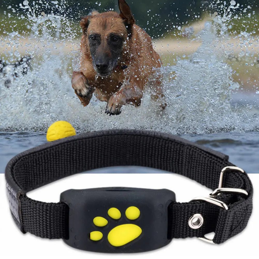 Pet GPS Tracker Collar - Cool Gear Pro