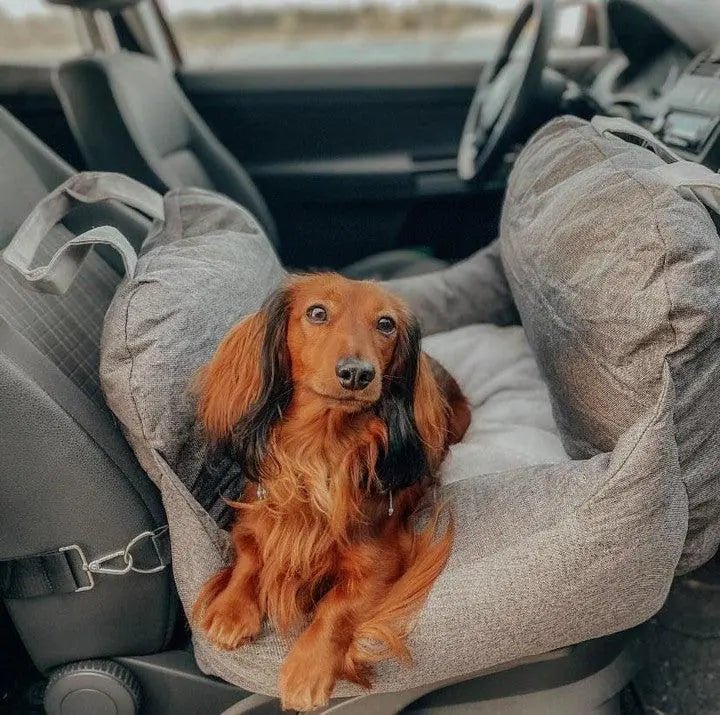 Pet Travel Bed - Cool Gear Pro