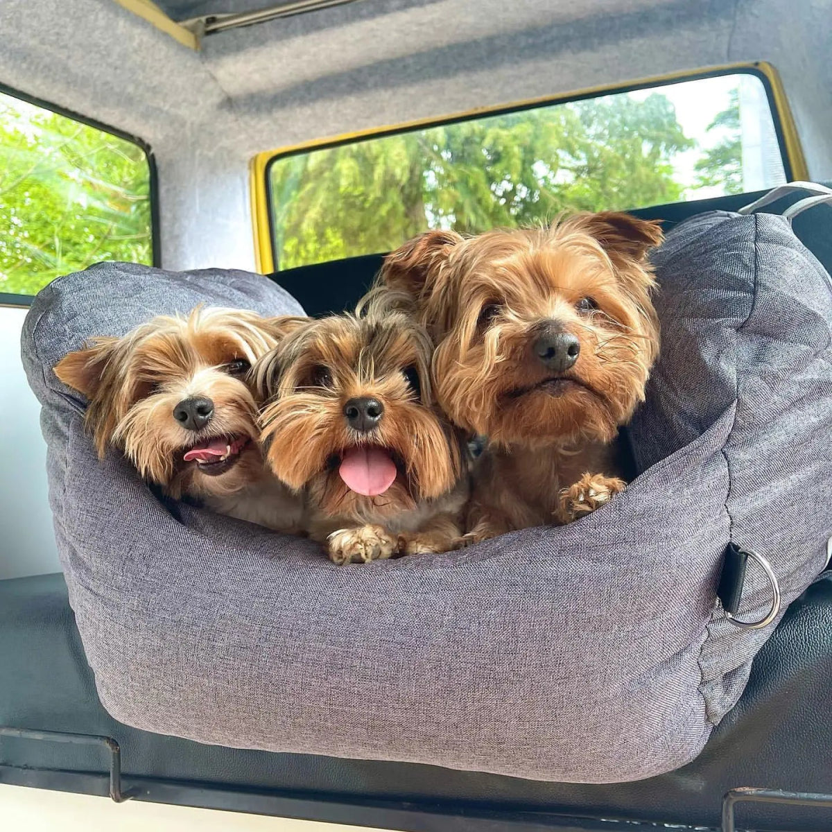 Pet Travel Bed - Cool Gear Pro