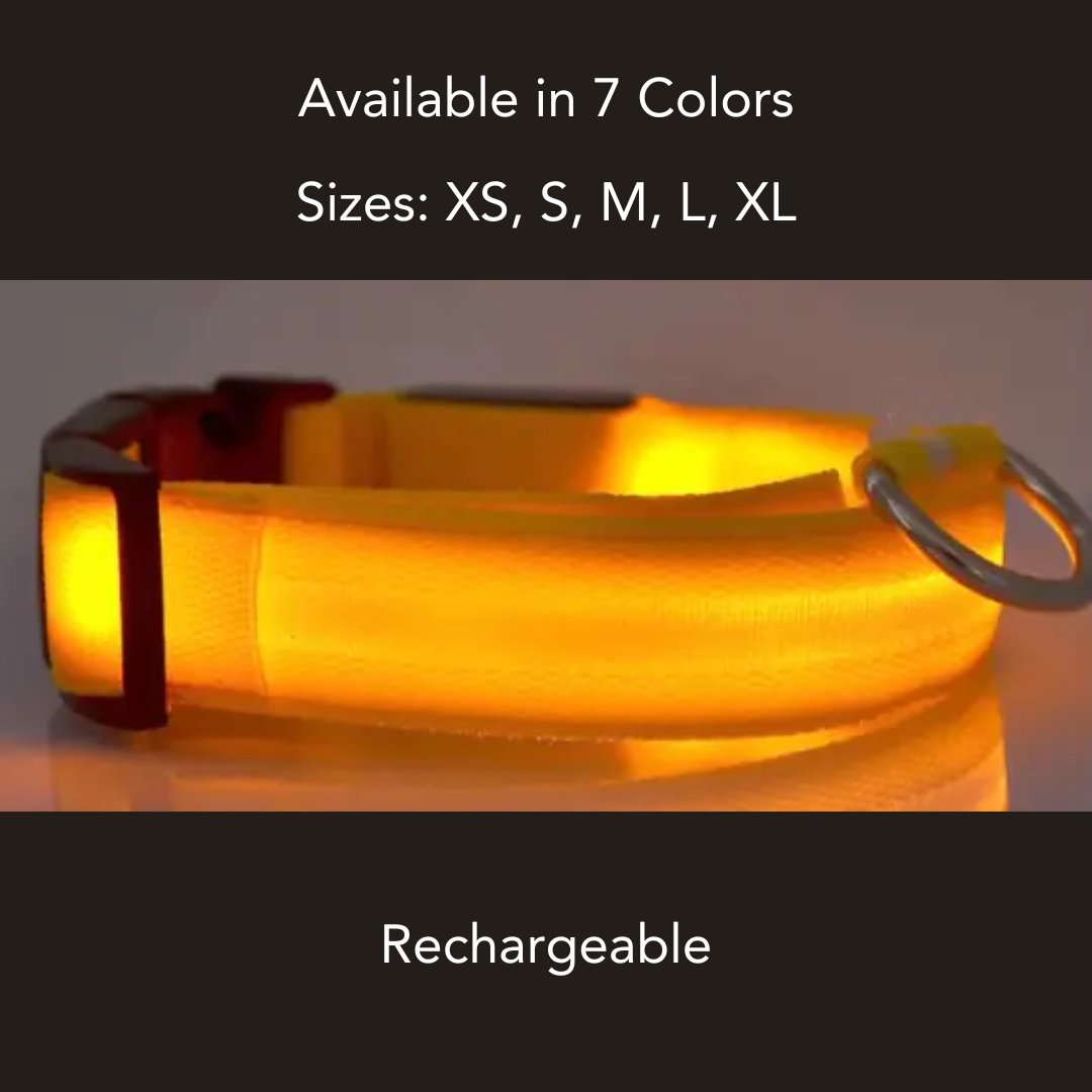 Rechargeable Nylon LED Dog Collar - Cool Gear Pro