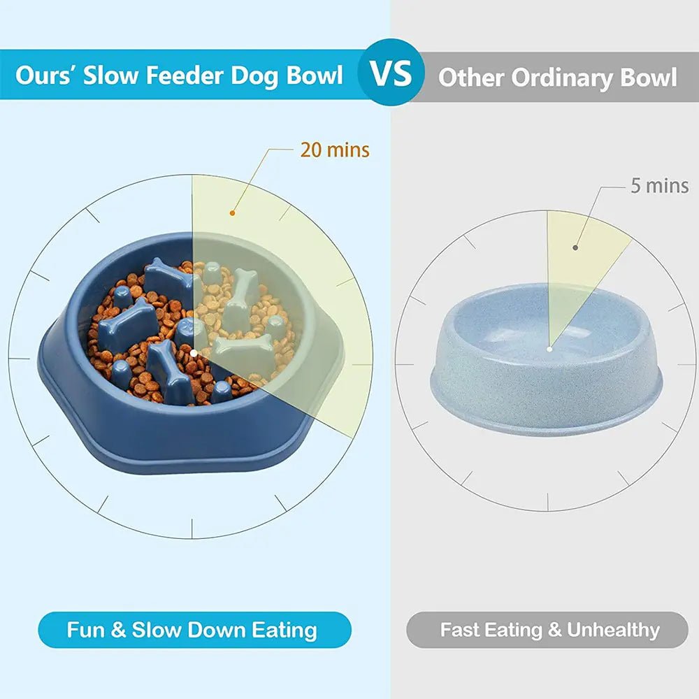 Slow Feeder Bone Design Pet Bowl - Cool Gear Pro