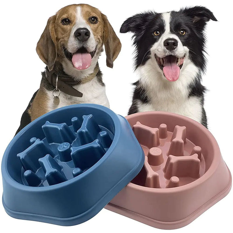 Slow Feeder Bone Design Pet Bowl - Cool Gear Pro