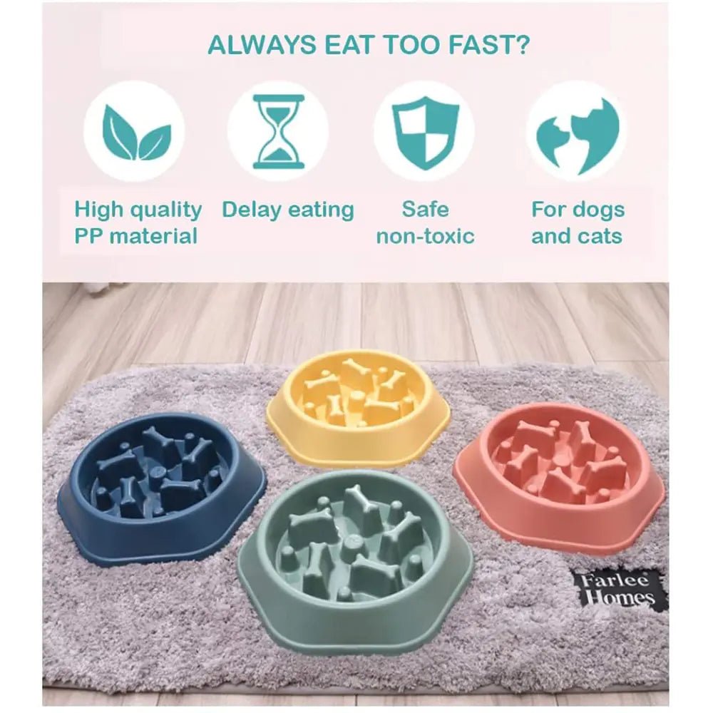 Slow Feeder Bone Design Pet Bowl - Cool Gear Pro