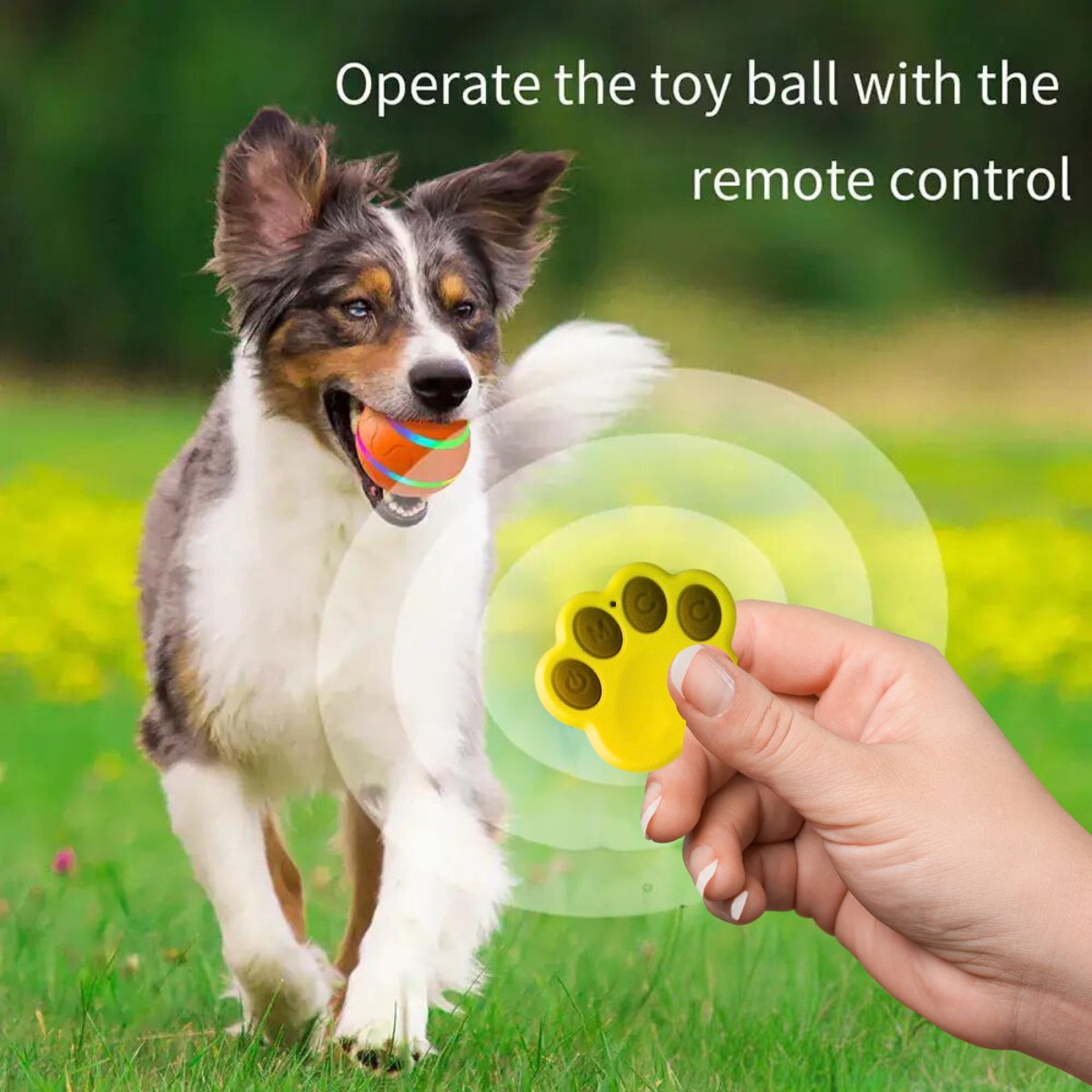 SmartBall Interactive Dog Toy - Cool Gear Pro