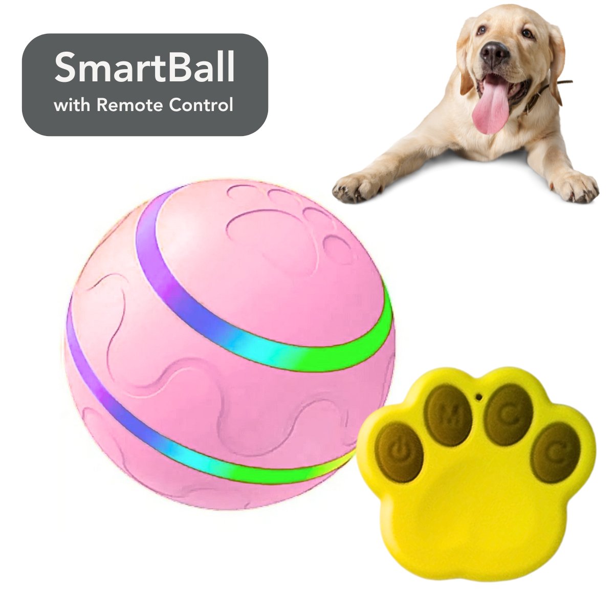 SmartBall Interactive Dog Toy - Cool Gear Pro