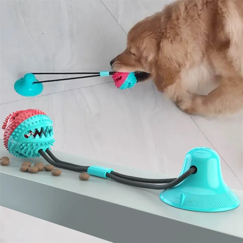 Suction Ball Interactive Dog Toy - Cool Gear Pro