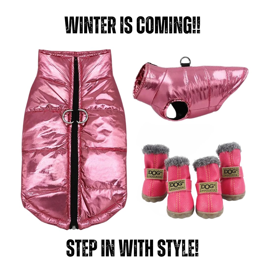 Trendy Dog Coat & Boots Bundle - Pink - Cool Gear Pro