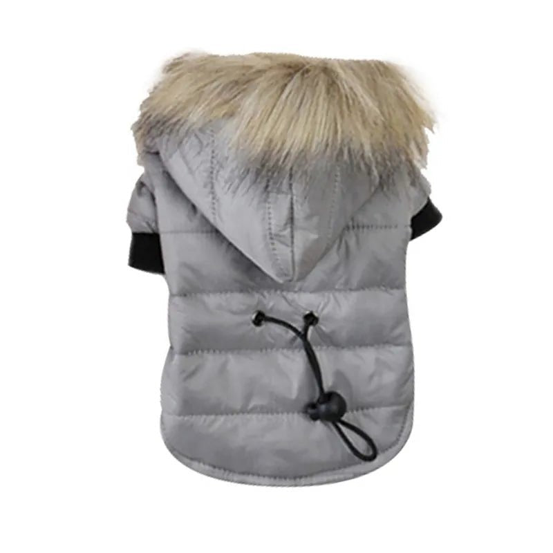 Warm Winter Small Dog Jackets - Cool Gear Pro