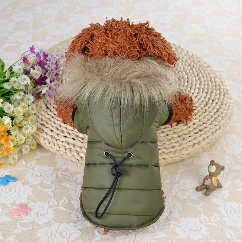 Warm Winter Small Dog Jackets - Cool Gear Pro