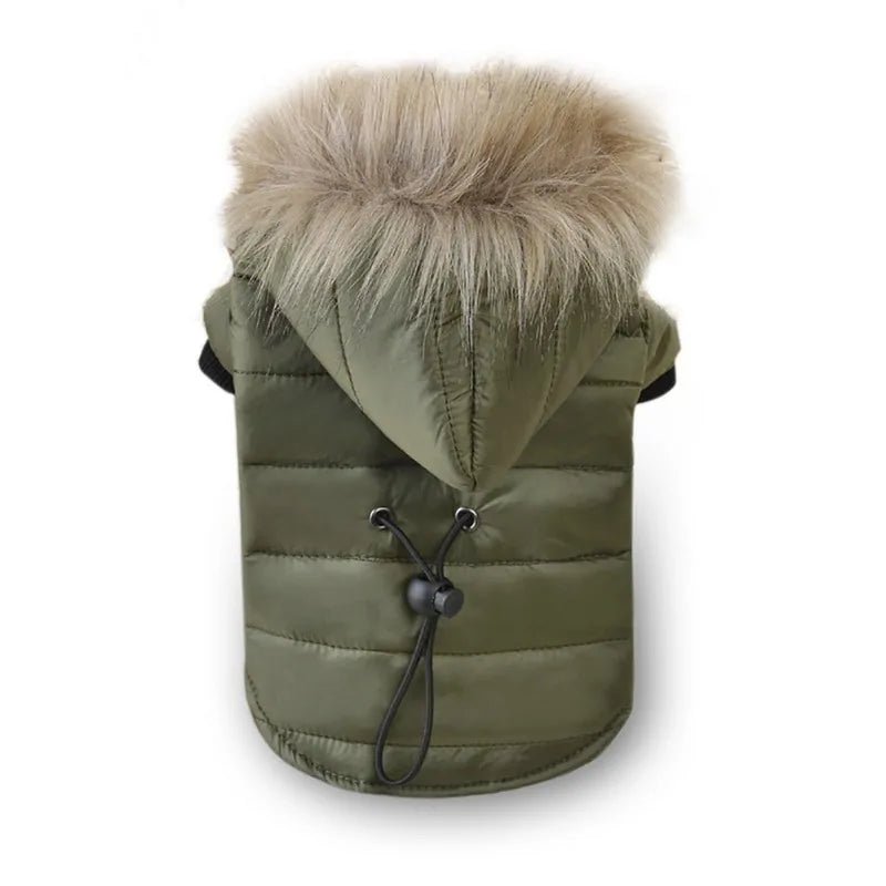 Warm Winter Small Dog Jackets - Cool Gear Pro