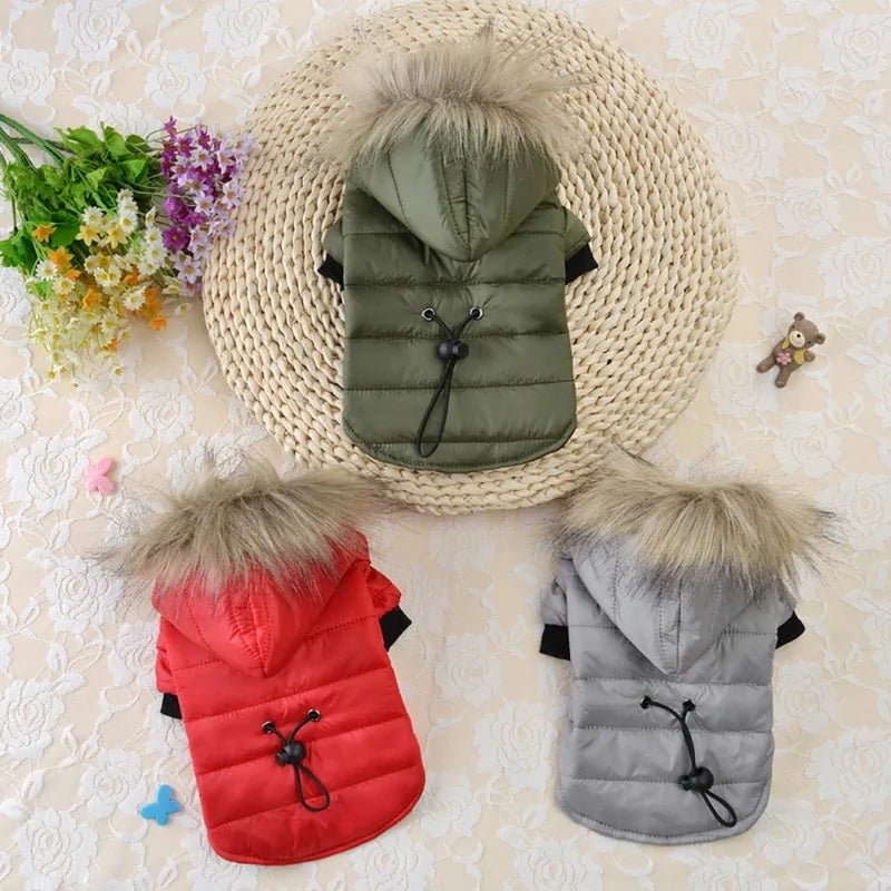 Warm Winter Small Dog Jackets - Cool Gear Pro