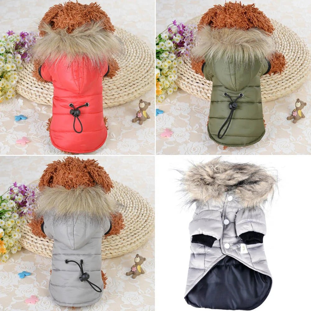 Warm Winter Small Dog Jackets - Cool Gear Pro