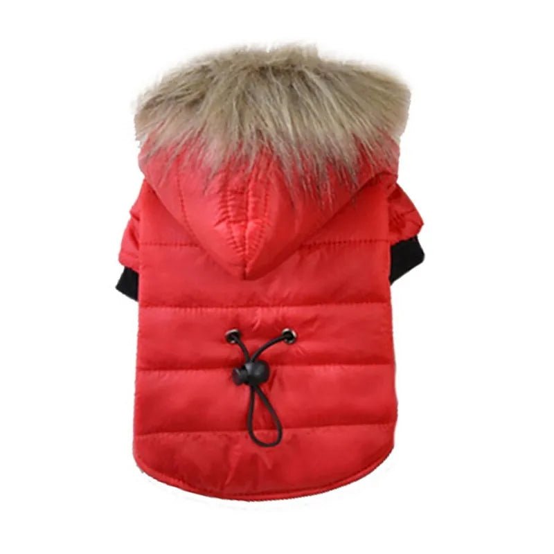 Warm Winter Small Dog Jackets - Cool Gear Pro