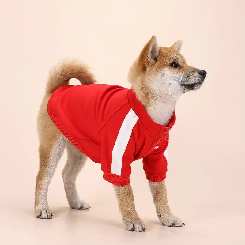 Winter Luxury Pet Dog Clothes - Cool Gear Pro