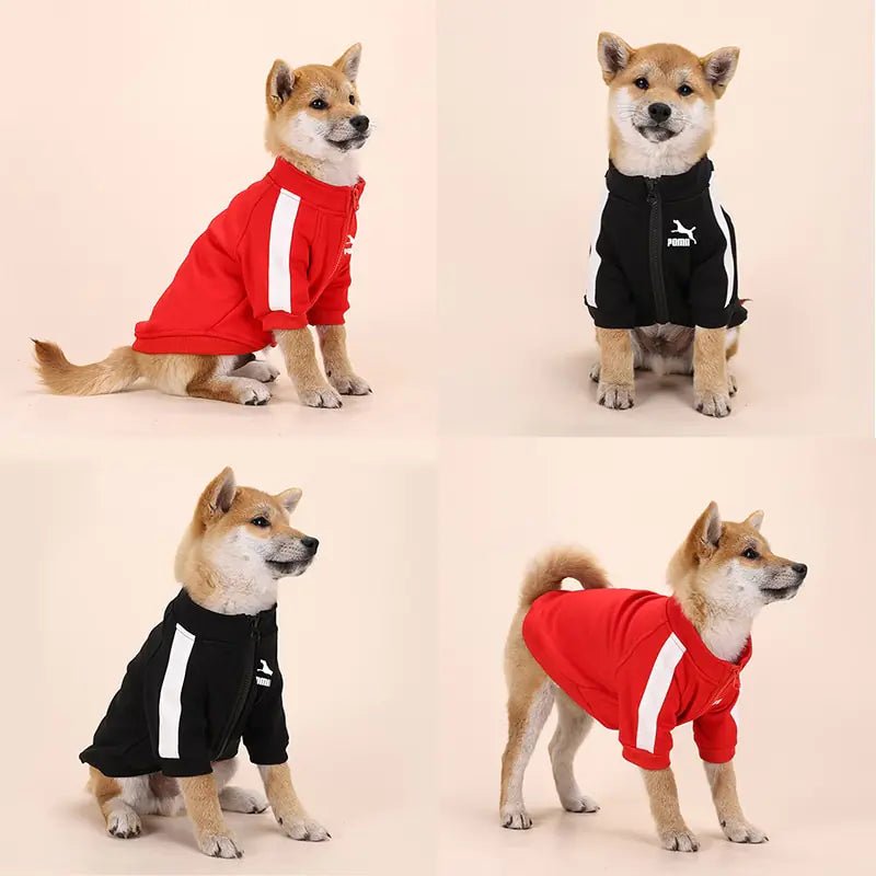 Winter Luxury Pet Dog Clothes - Cool Gear Pro